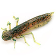 Dragonfly 1.7" Motor Oil Pepper