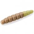 Morio 1.2" Coffee Milk/Light Olive