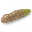 Pupa 1.5" Coffee Milk/Light Olive