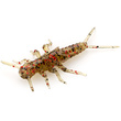 Stonefly 0.75" Green Pumpkin/Red & Black
