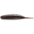 Tanta 2.5" Green Pumpkin Brown/Red & Purple