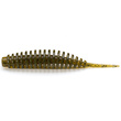 Tanta 2.5" Green Pumpkin Seed
