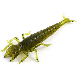 Diving Bug